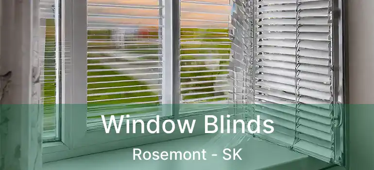  Window Blinds Rosemont - SK