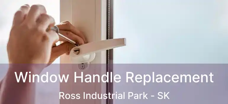  Window Handle Replacement Ross Industrial Park - SK