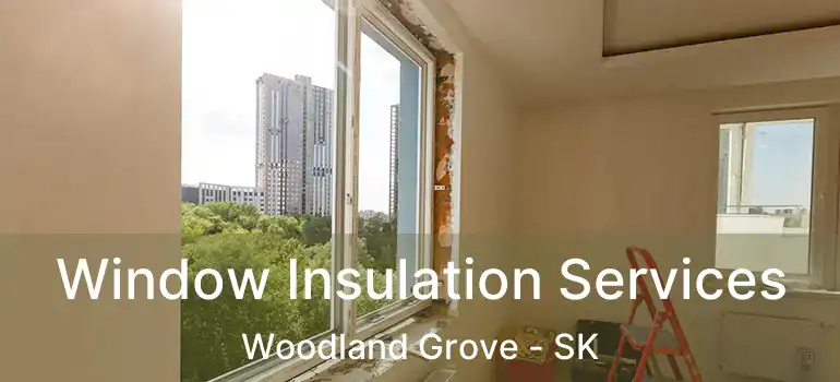  Window Insulation Services Woodland Grove - SK