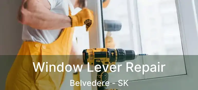  Window Lever Repair Belvedere - SK