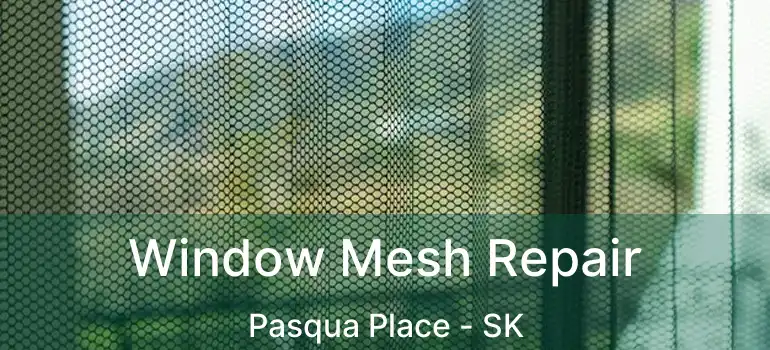  Window Mesh Repair Pasqua Place - SK