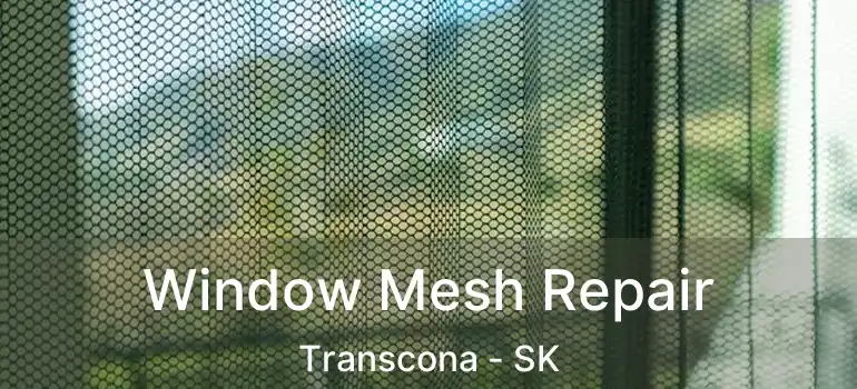  Window Mesh Repair Transcona - SK