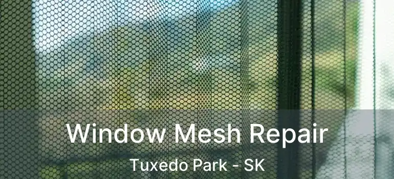  Window Mesh Repair Tuxedo Park - SK