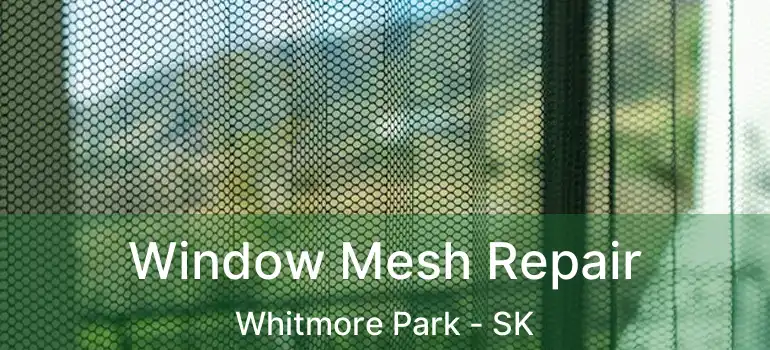  Window Mesh Repair Whitmore Park - SK