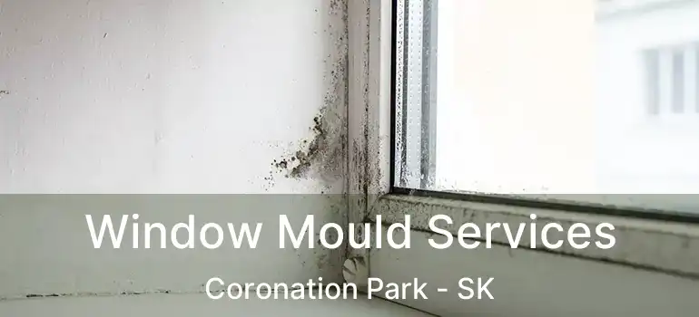 Window Mould Services Coronation Park - SK