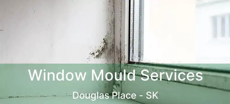  Window Mould Services Douglas Place - SK