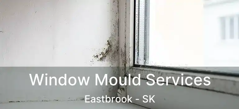  Window Mould Services Eastbrook - SK