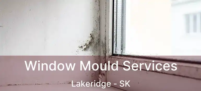  Window Mould Services Lakeridge - SK