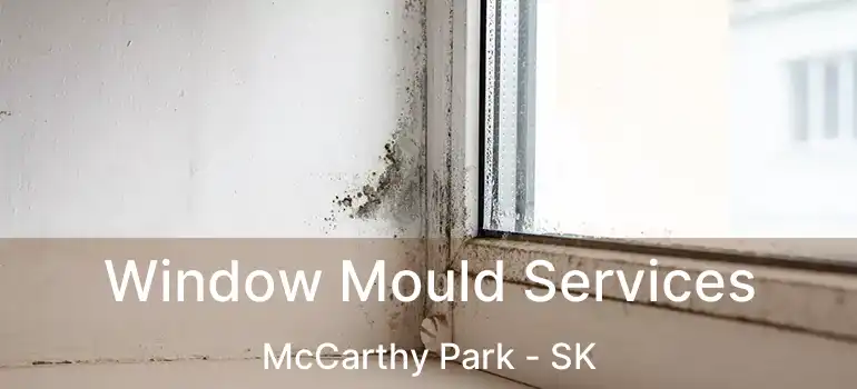  Window Mould Services McCarthy Park - SK