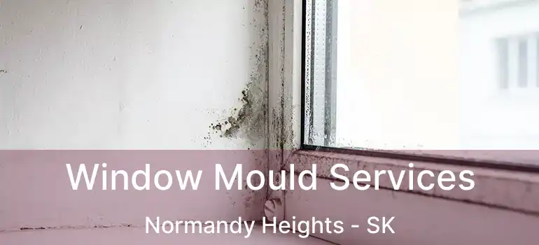  Window Mould Services Normandy Heights - SK