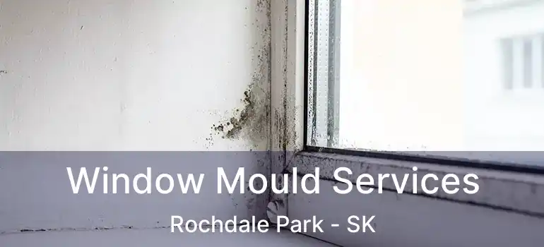  Window Mould Services Rochdale Park - SK