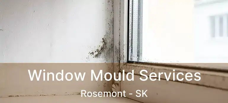  Window Mould Services Rosemont - SK