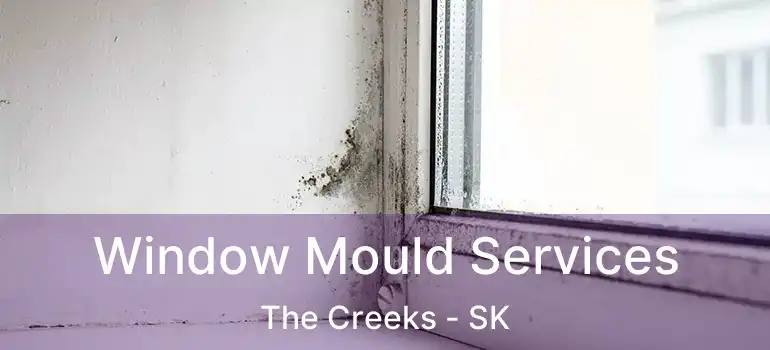  Window Mould Services The Creeks - SK