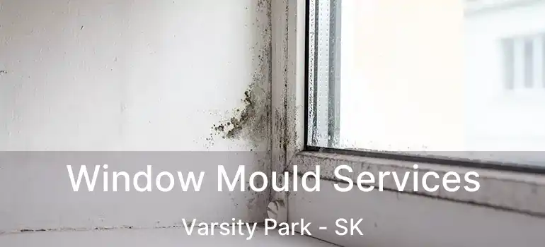  Window Mould Services Varsity Park - SK