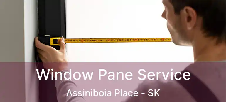  Window Pane Service Assiniboia Place - SK