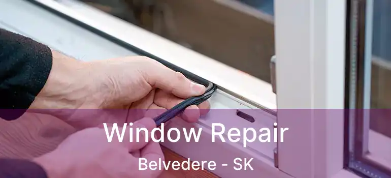  Window Repair Belvedere - SK