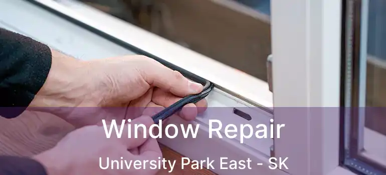  Window Repair University Park East - SK