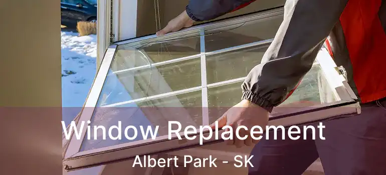  Window Replacement Albert Park - SK