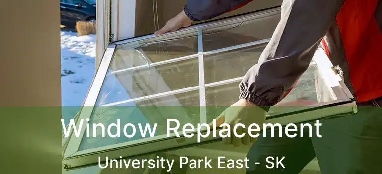  Window Replacement University Park East - SK