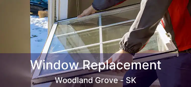  Window Replacement Woodland Grove - SK