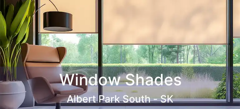  Window Shades Albert Park South - SK