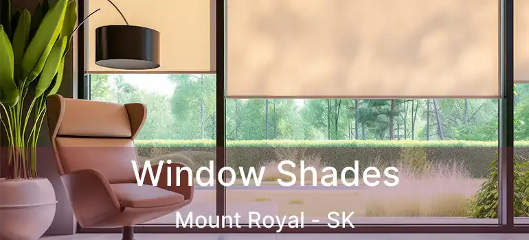  Window Shades Mount Royal - SK