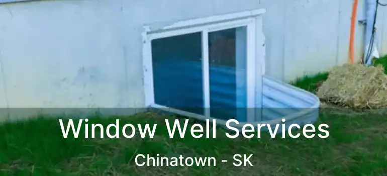  Window Well Services Chinatown - SK